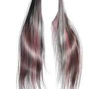IMG 5216.png