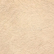 pared-extre