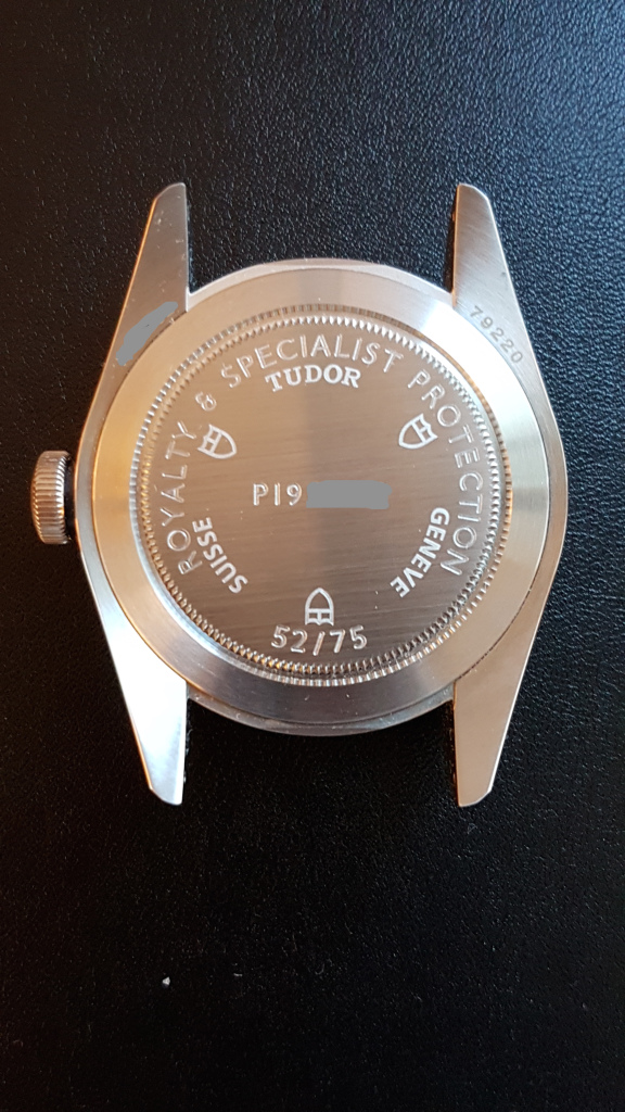 Tudor - Éditions Limitées Bb-caseback