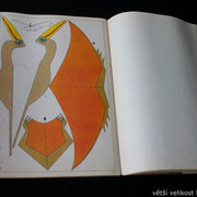 IMG-2407
