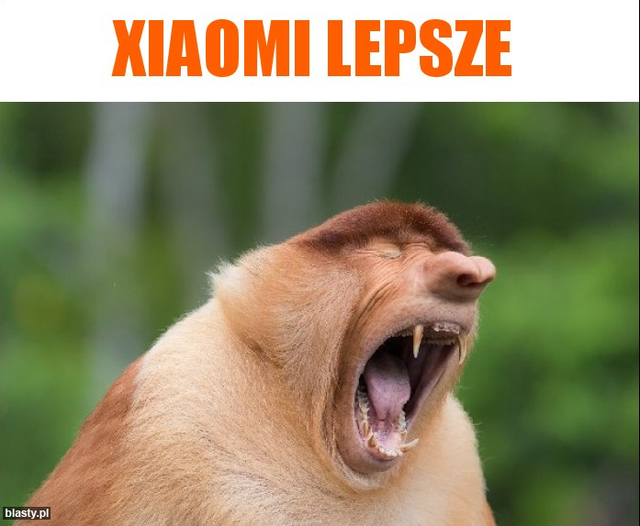 xiaomipng