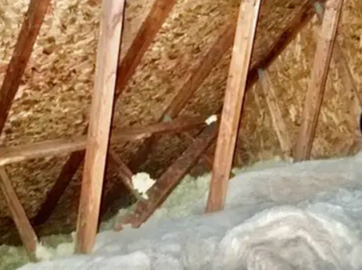 Mold-Removal-in-Oakville