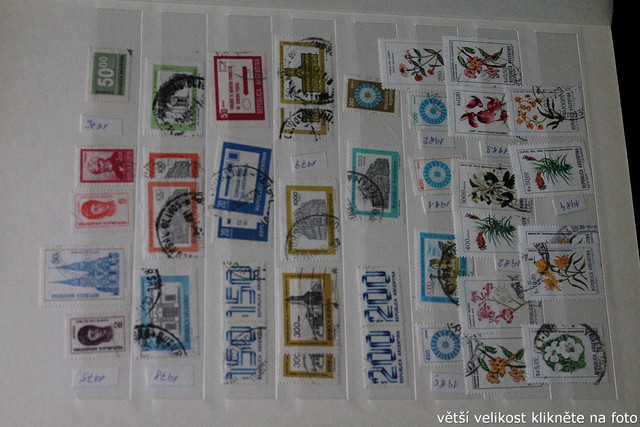 IMG-3225.jpg