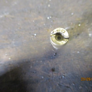 IMG-8469