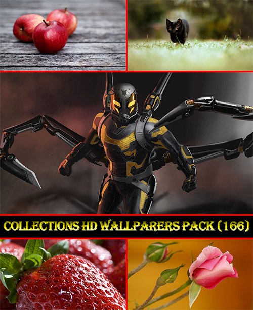 Collections HD Wallpapers Pack 166