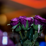 MRM-Events-329