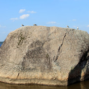 IMG-1957