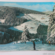 IMG-6881