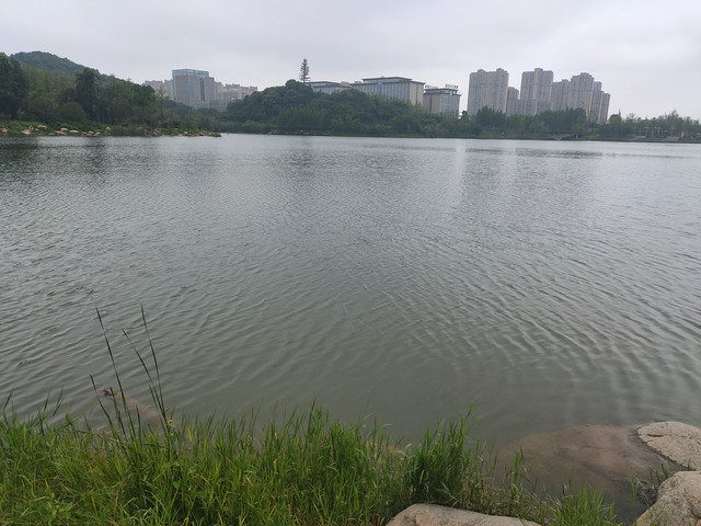 IMG20200713125729.jpg