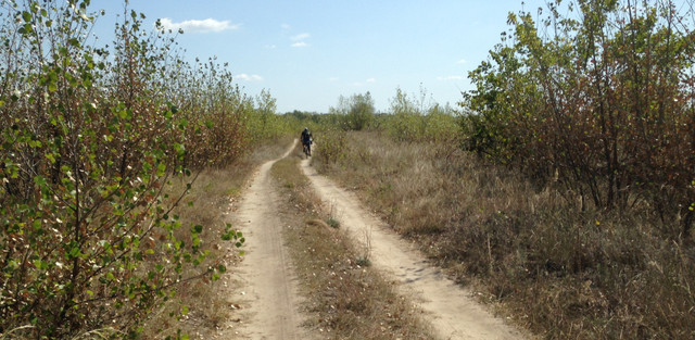 IMG-4186.jpg