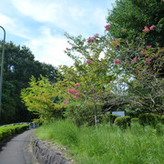 P1350085