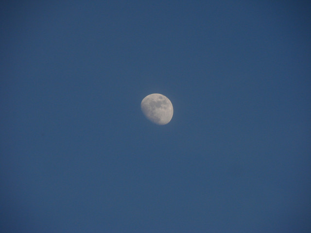 DSC04626.jpg