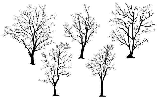 shutterstock-1916619875.jpg