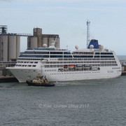 IMG-4246