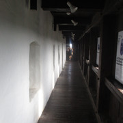 IMG-0941