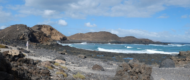 DSCF8659.jpg