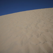 DSC01247