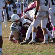 IMG-4629