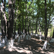 IMG-0883