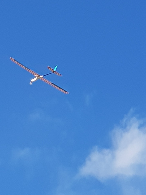 20221007-131930.jpg