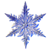 SNOWFLAKE1