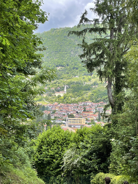 IMG-0568