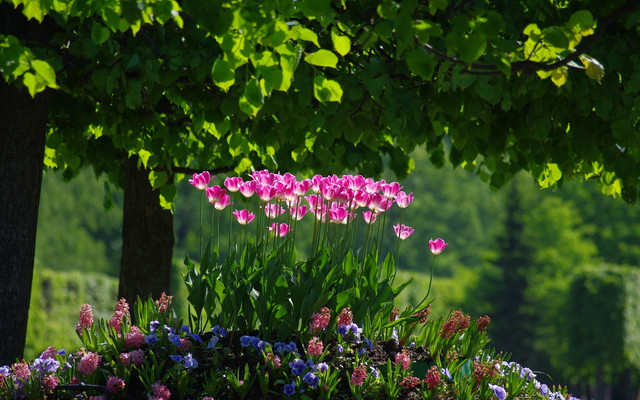 spring-040