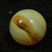 DSCN6705
