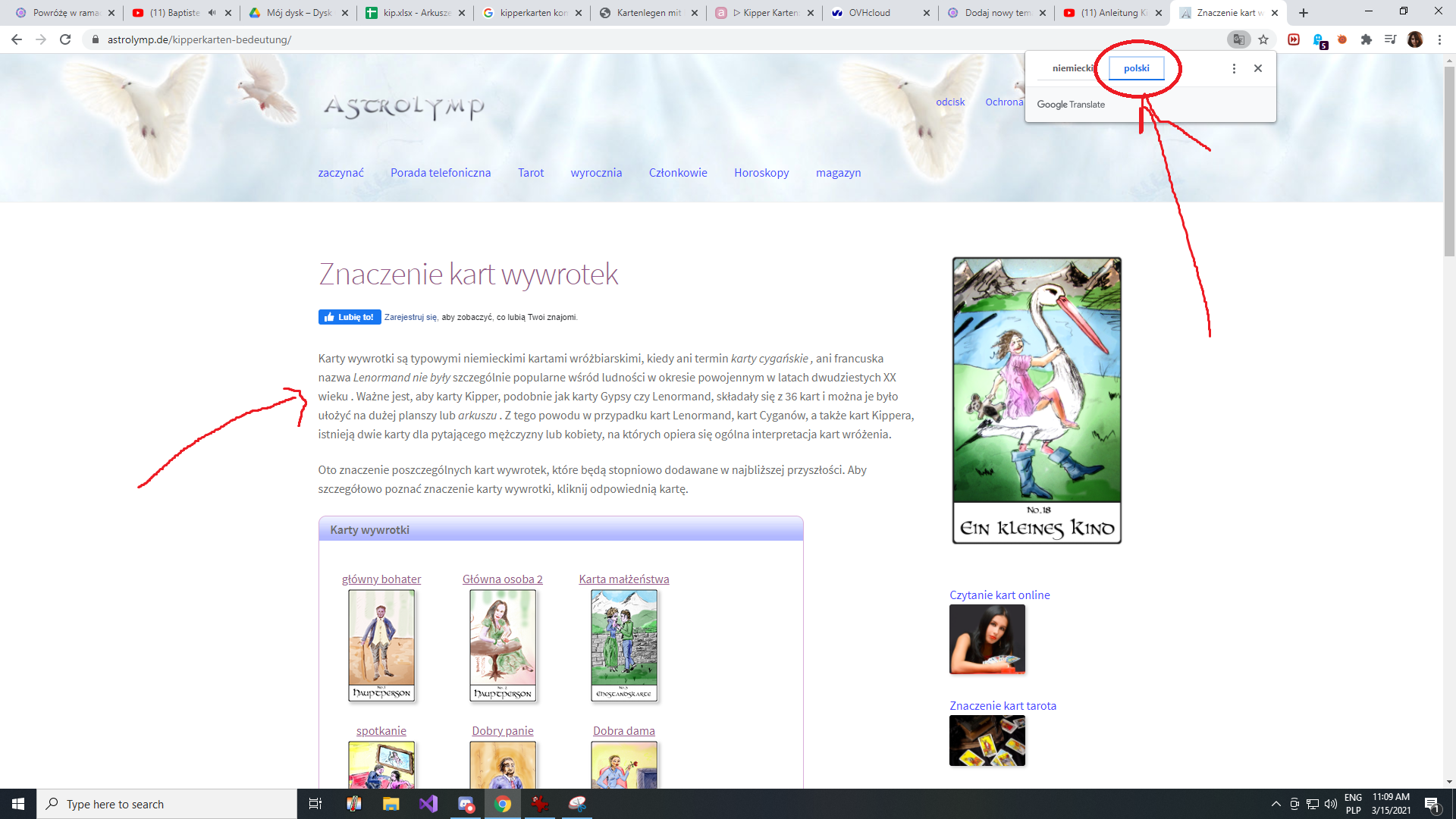 tlum2.png