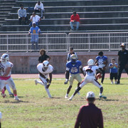 IMG-1318