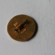 IMG-6829