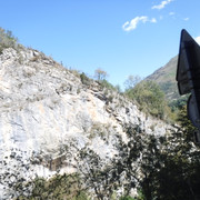 DSCF6205