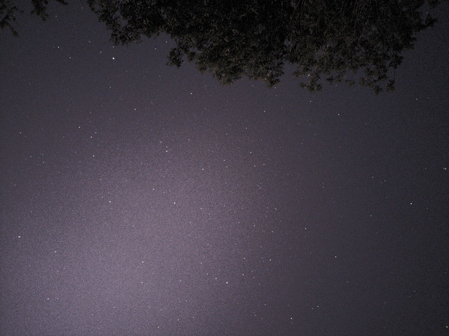 Picture-saved-with-settings-applied