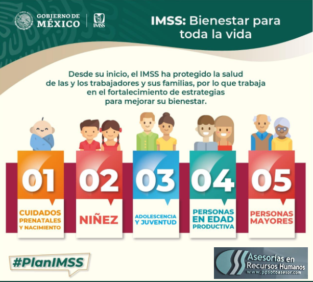 plan #IMSS