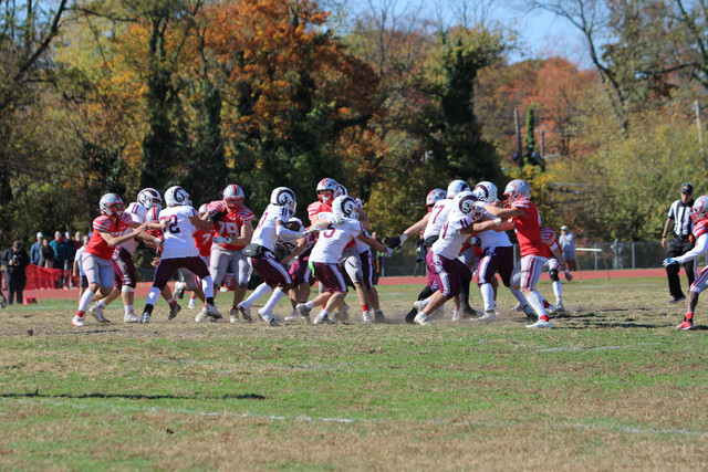 IMG-1435.jpg