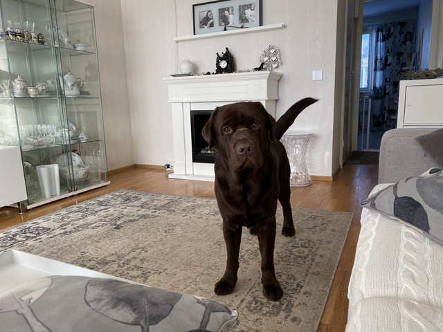 C5-AFB5-CE-D92-F-4-E3-C-A8-CD-B223680432