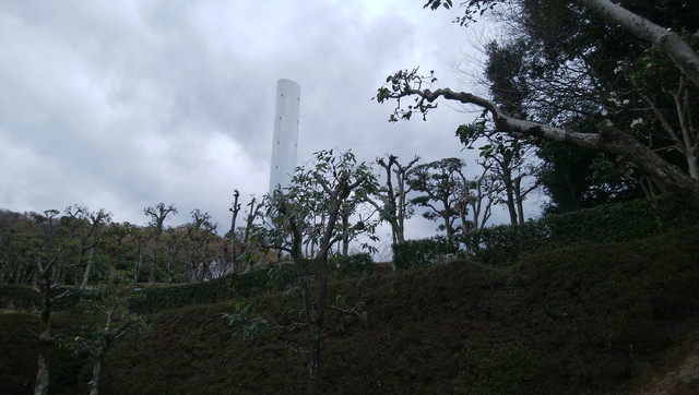 DSC-0106