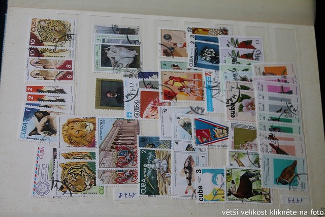 IMG-3505.jpg