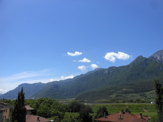 DSCN3063