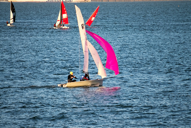IMGP6912.jpg