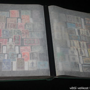 IMG-2505