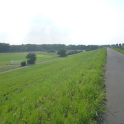 2020-05-27-024