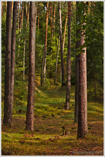 IMG-8846b