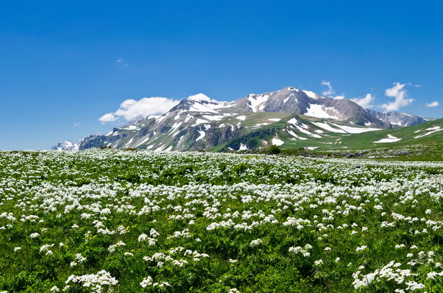 spring-080