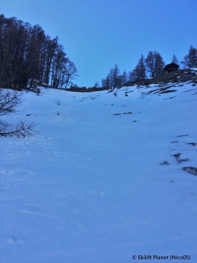 IMG-7672.jpg