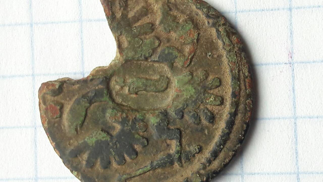 Poluszka1