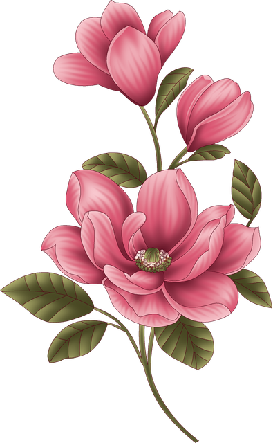 1df1a5673e87690944f56e3fa2706d7e.png