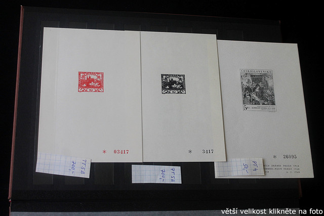 IMG-2353.jpg