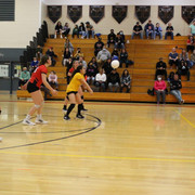 IMG-0291