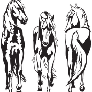 0-e7c16-5b9d2d33-XL